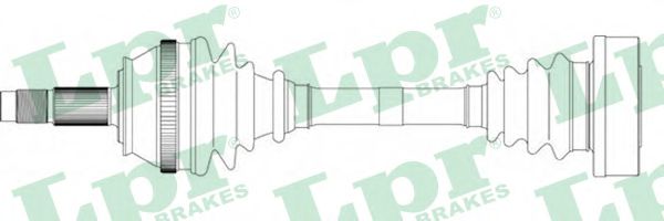 AP DS13019