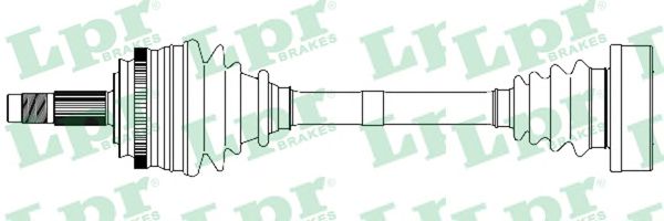 AP DS13022