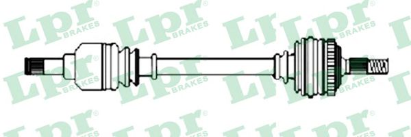 AP DS16213