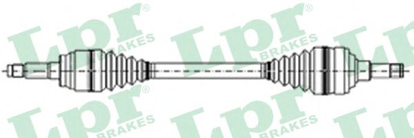 AP DS19011