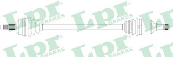 AP DS20102