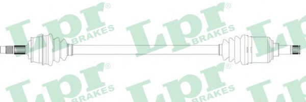 AP DS20241