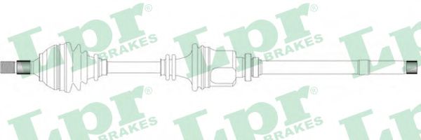 AP DS38018