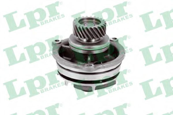 AP WP0146
