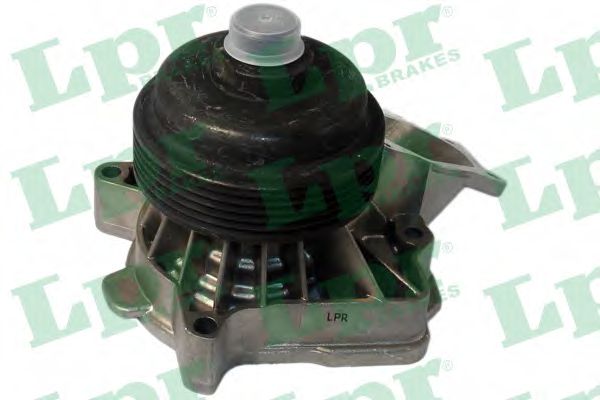 AP WP0686
