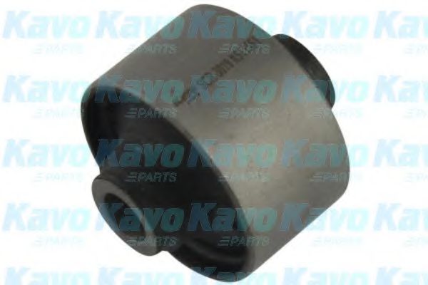 KAVO PARTS SCR-3019