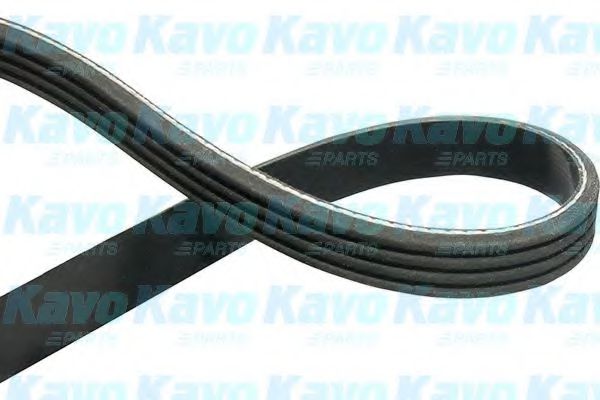 KAVO PARTS DMV-1001