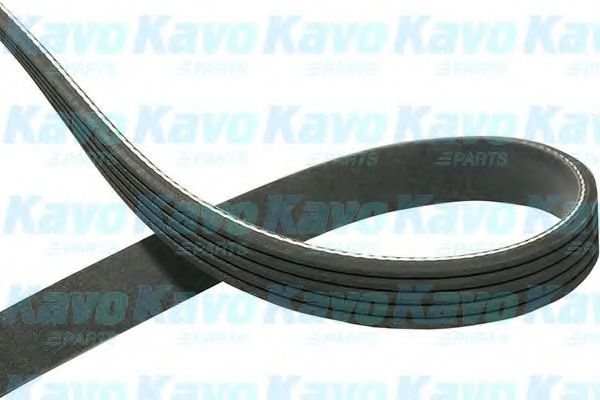 KAVO PARTS DMV-1003