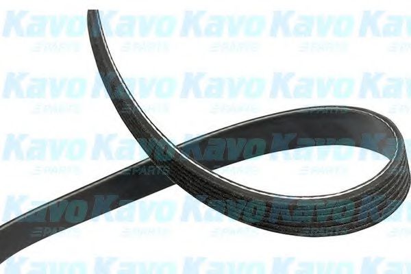 KAVO PARTS DMV-1004