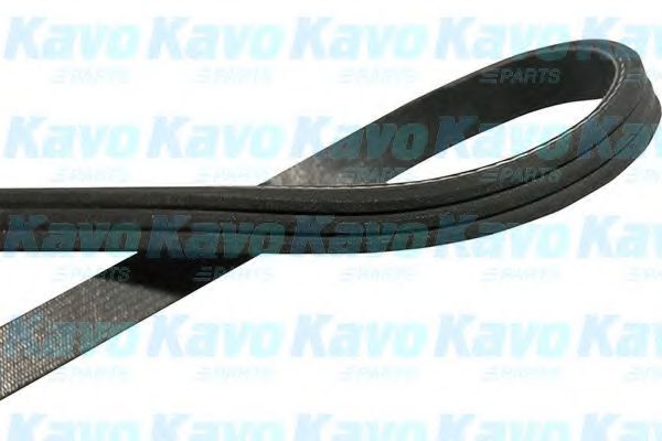KAVO PARTS DMV-1509