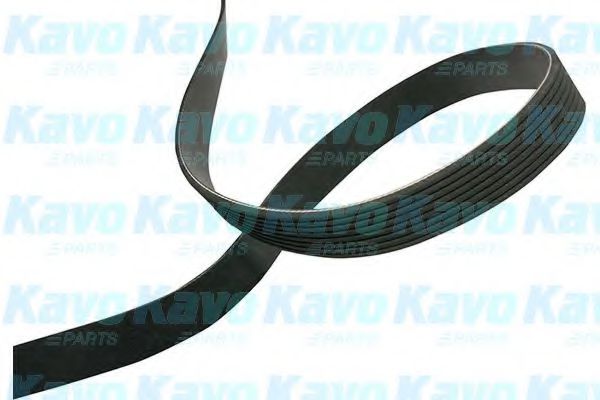 KAVO PARTS DMV-4533