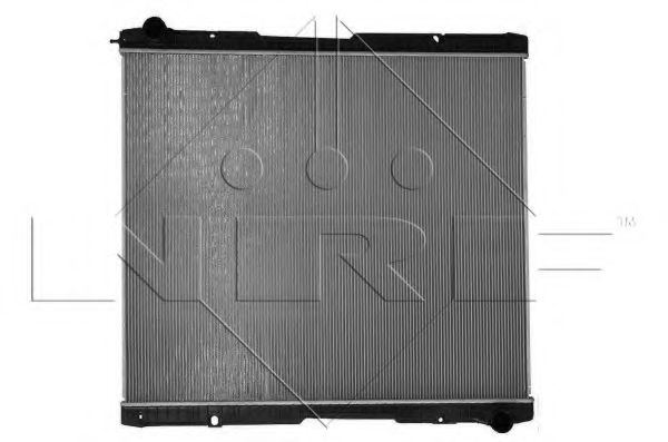 NRF 509739