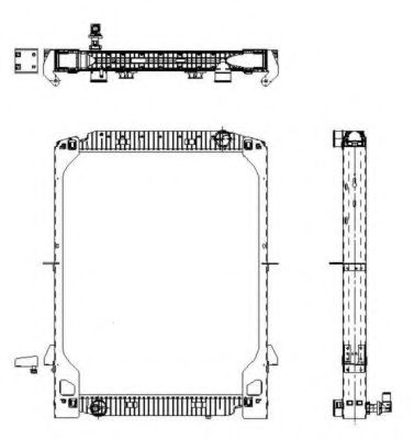 NRF 539568