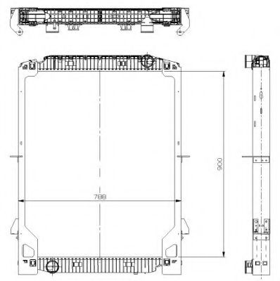 NRF 559568