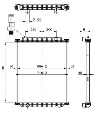 NRF 599563