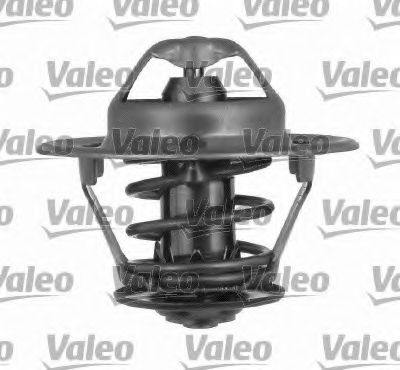 VALEO 820024