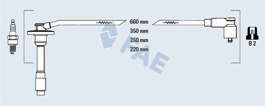 FAE 83586