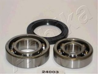 ASHIKA 44-24003