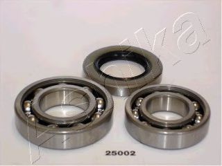 ASHIKA 44-25002