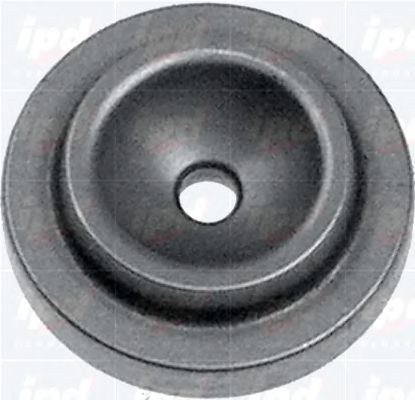 IPD 45-5004