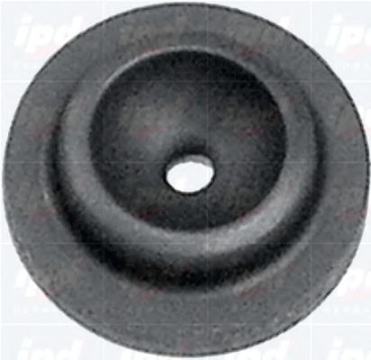 IPD 45-5005