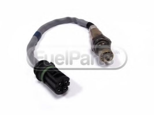 STANDARD LB2021 STANDARD LB2021
