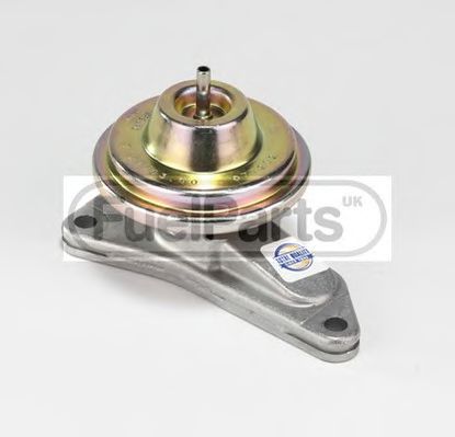 STANDARD EGR033