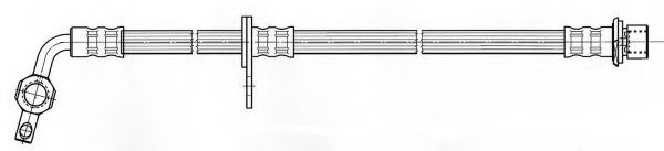 KAWE 511937