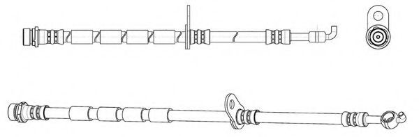 KAWE 512959
