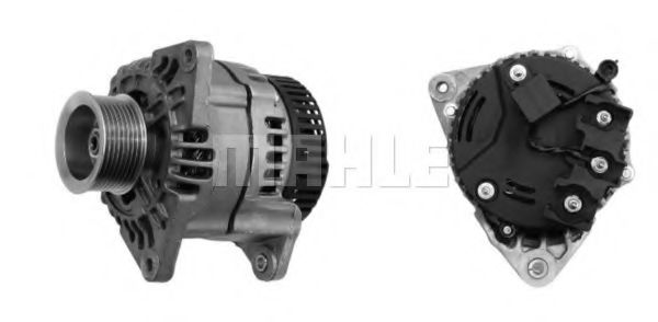 MAHLE ORIGINAL MG 443
