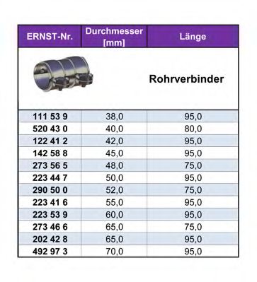 ERNST 223447