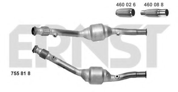 ERNST 755818