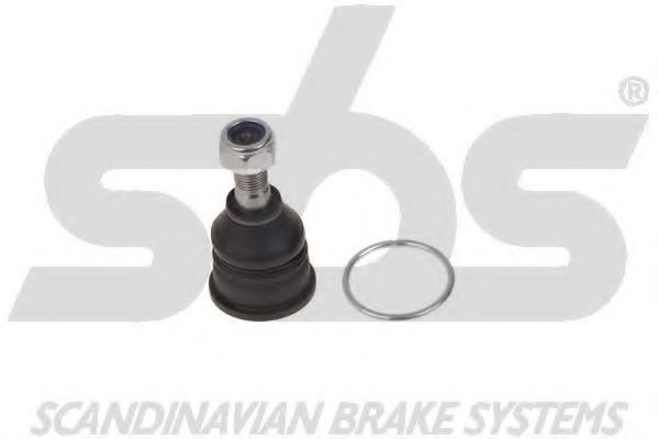 sbs 19075042231