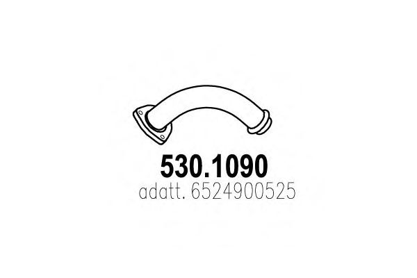 ASSO 530.1090