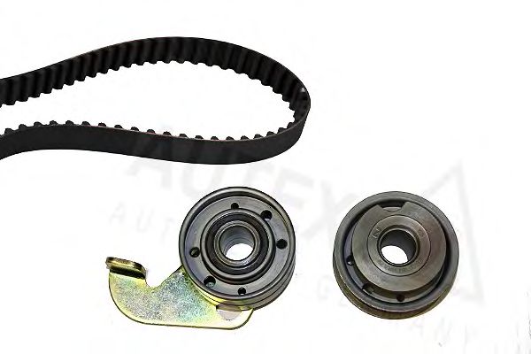 AUTEX 702197