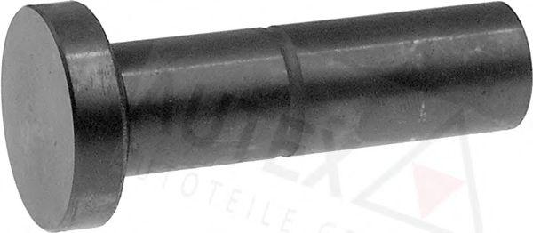 AUTEX 955132