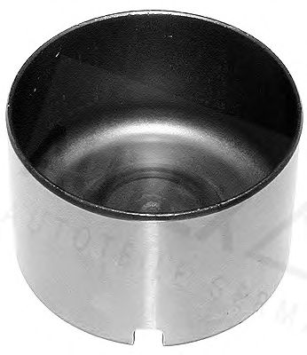 AUTEX 955144