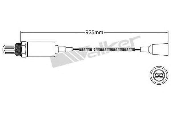 WALKER PRODUCTS 250-21015