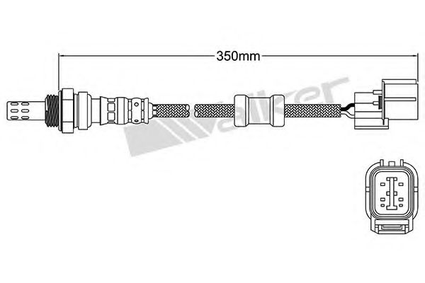 WALKER PRODUCTS 250-24473