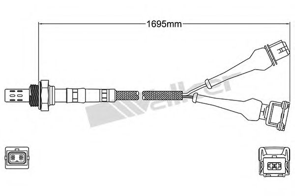 WALKER PRODUCTS 250-24145
