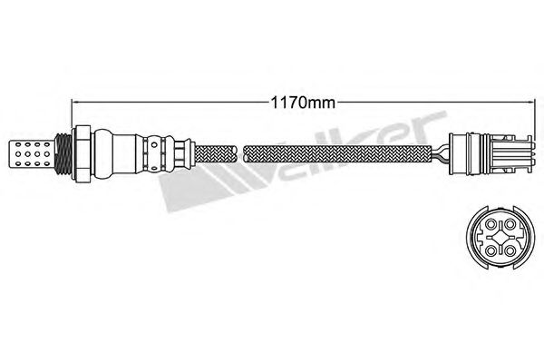 WALKER PRODUCTS 250-24595