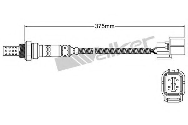 WALKER PRODUCTS 250-24308