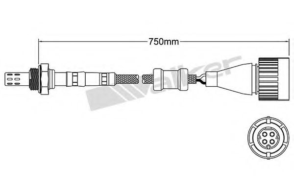 WALKER PRODUCTS 250-24613
