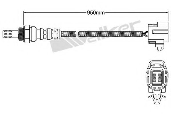 WALKER PRODUCTS 250-24362