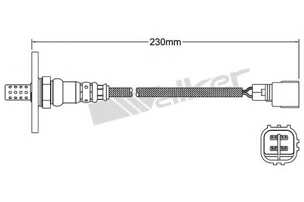 WALKER PRODUCTS 250-24361