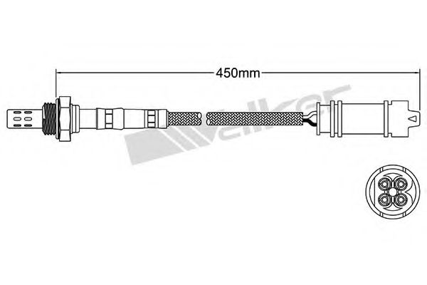 WALKER PRODUCTS 250-24638