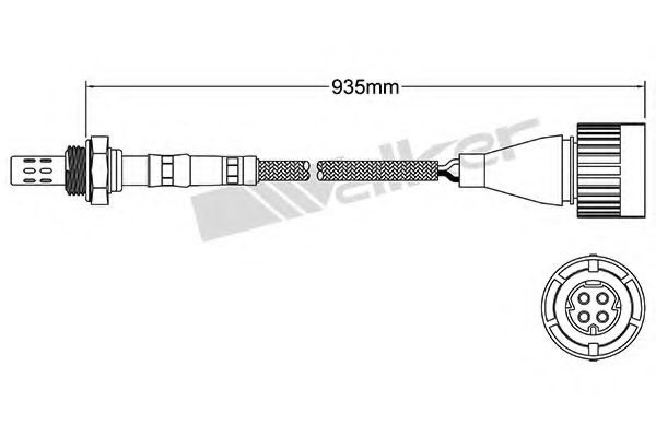 WALKER PRODUCTS 250-24824