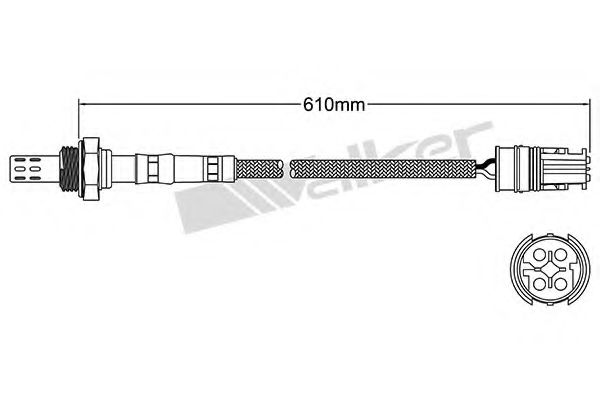 WALKER PRODUCTS 250-24419 WALKER PRODUCTS 250-24419