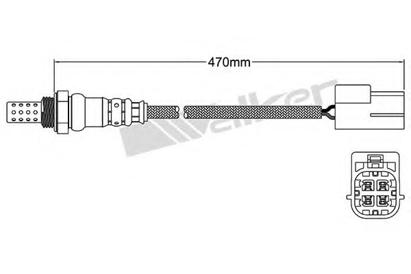 WALKER PRODUCTS 250-24453