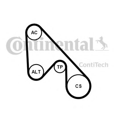 CONTITECH 5PK1145K1